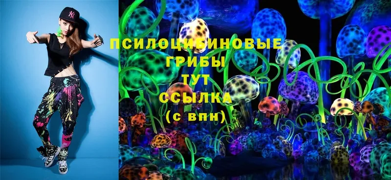 купить наркотик  Вичуга  Псилоцибиновые грибы Magic Shrooms 